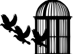 DovesReleased